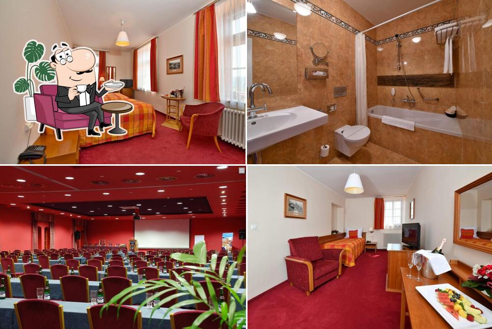 Wellness & Congress Hotel Dvorak Tabor