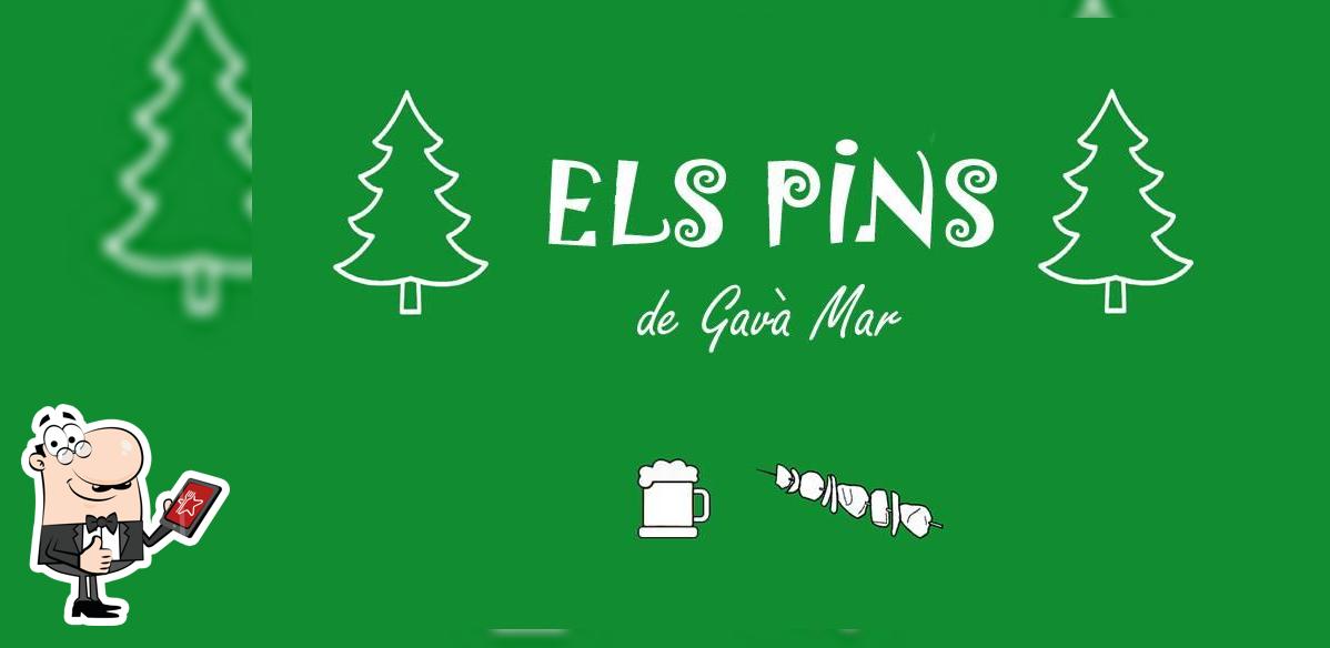 ELS PINS Gavá