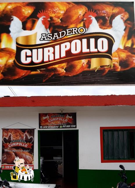 Curipollo