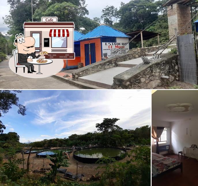 Piscícola Pachamama