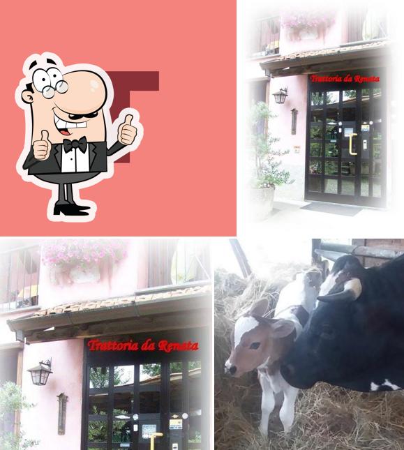 Trattoria da Renata