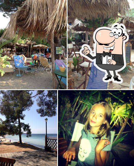 Tropical Beach Bar