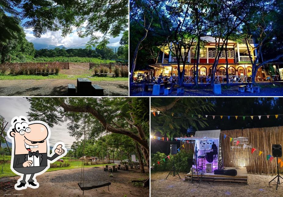 Grooveyard Chiang Mai