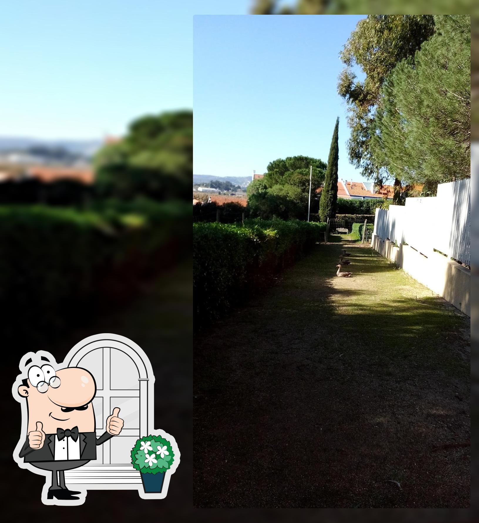 O Canas