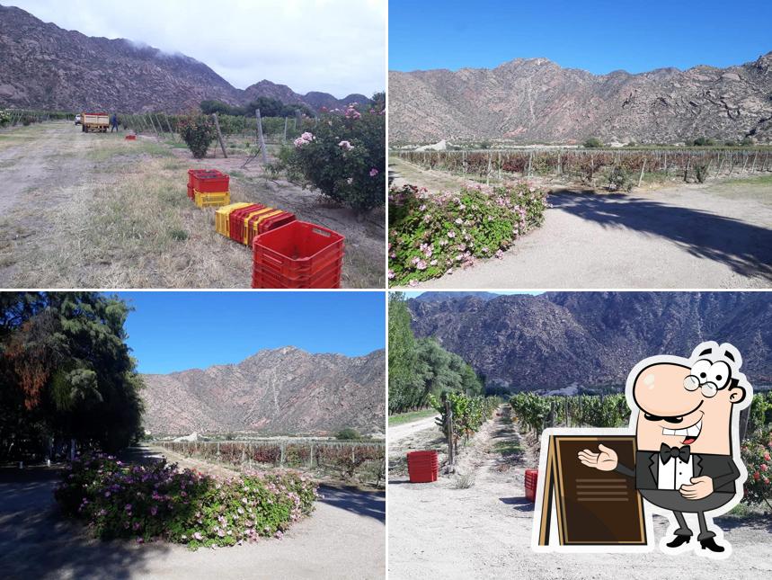 Finca Lomas Blancas Sanagasta