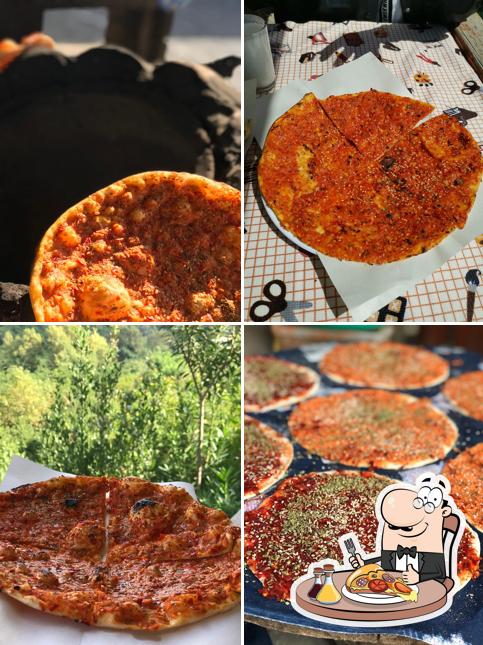 Aslanın Yeri