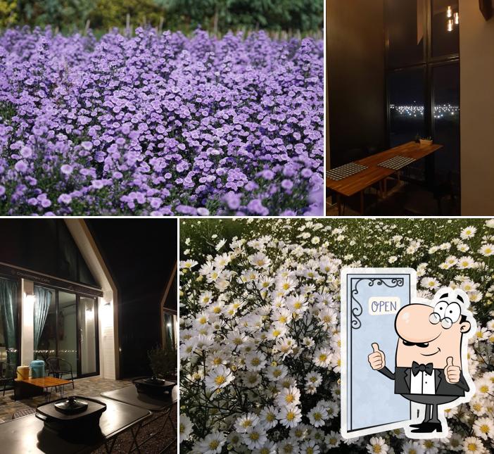 CountDown Cafe & Flower Farm
