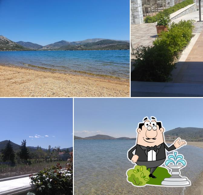 Το μαργαριτάρι του κόλπου γερας