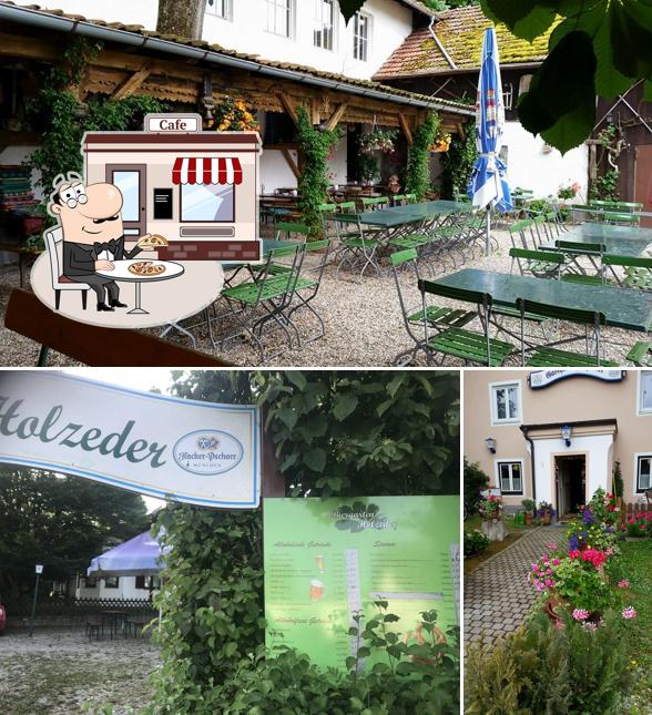 Holzeder