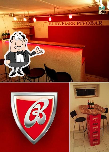 Budweiser Pivobar Ranis