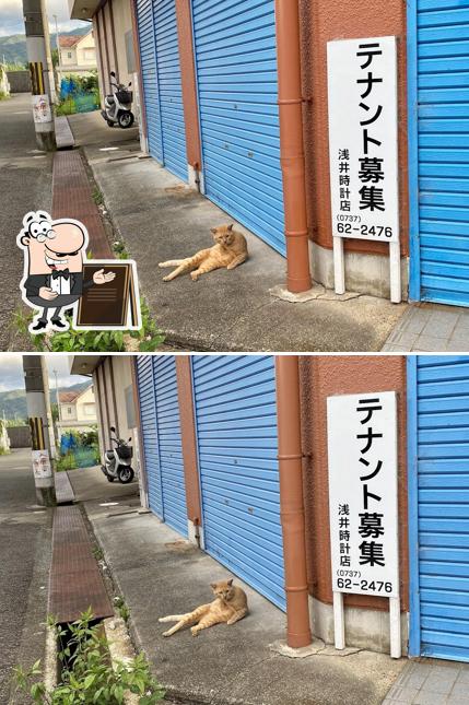 Kayo