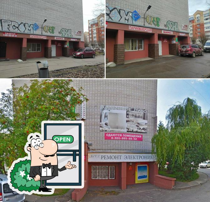 Шайба