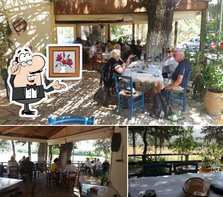 Klados Taverna
