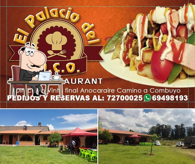Palacio del D C O