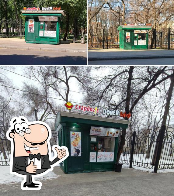 Stardogs