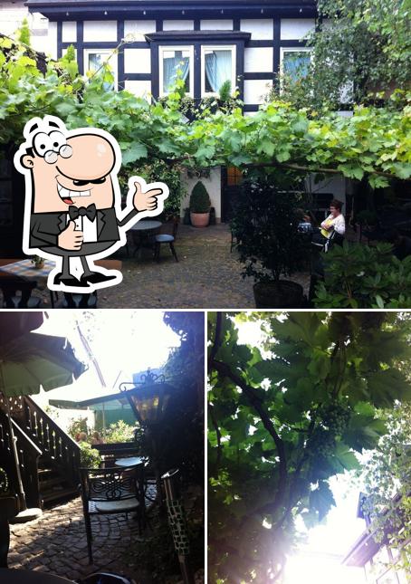 Weingut Lill