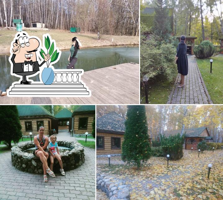 Хомяковские поляны