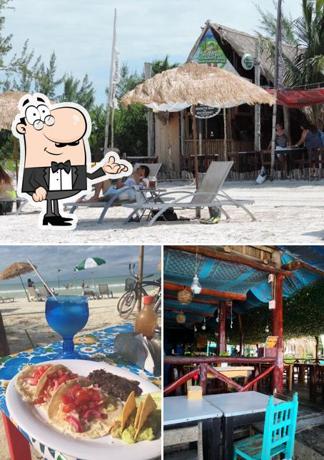 Mosquito Bar