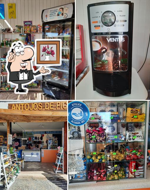 Antojos de Pica - Bazar, Helados Artesanales en Pica