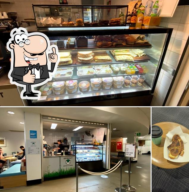Sprout Cafe Shortland