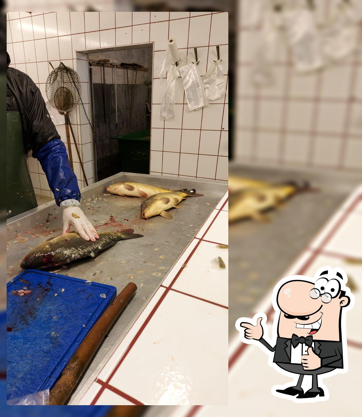 Urani Nexing Fisch Und Freizeit Gmbh