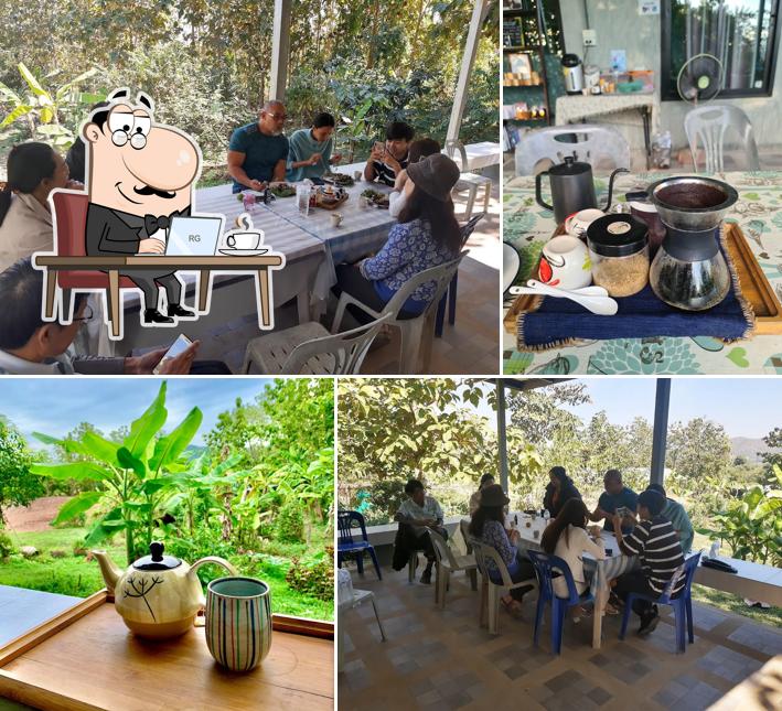 บ้านไร่ภูคูนคำ : Phukhoonkham organic Farm & Farm Stay