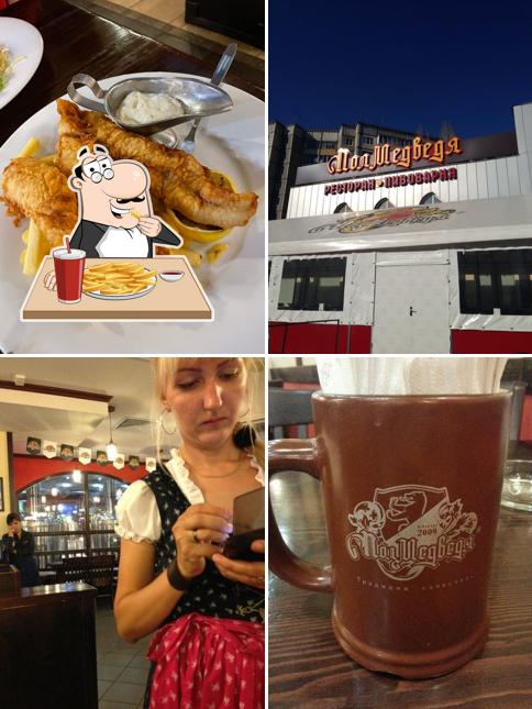 ПолМедведя