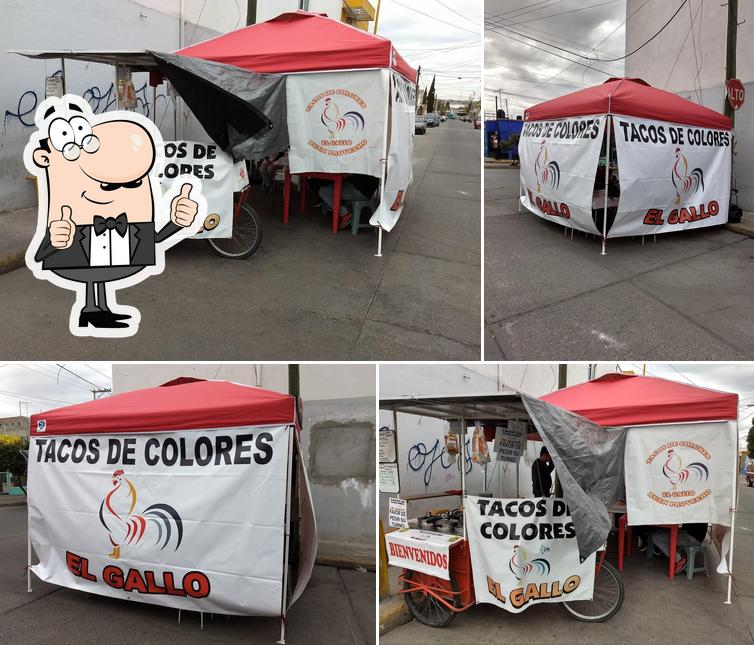 TACOS DE COLORES El GALLO