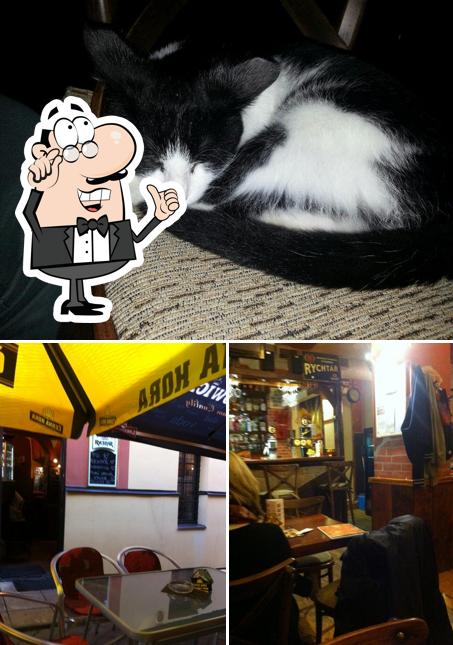 Fisher bar