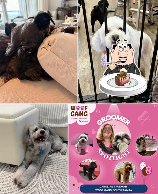 Woof Gang Bakery Key Biscayne