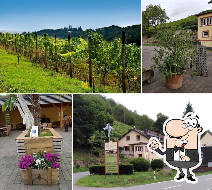 Weingut & Weinstube Schleimer
