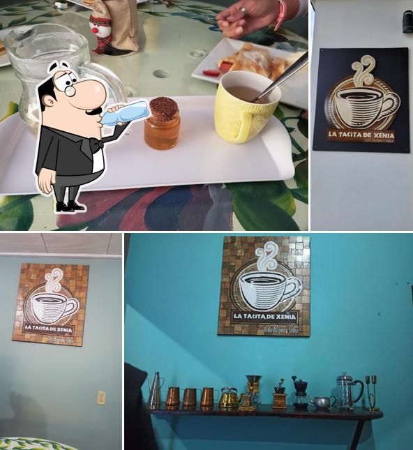 La Tacita De Xenia