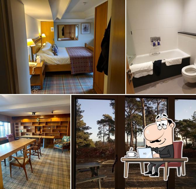 Knoll House Hotel