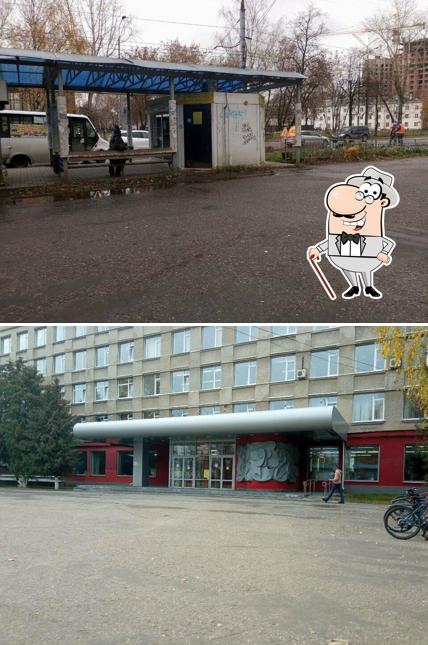 Стрекоза