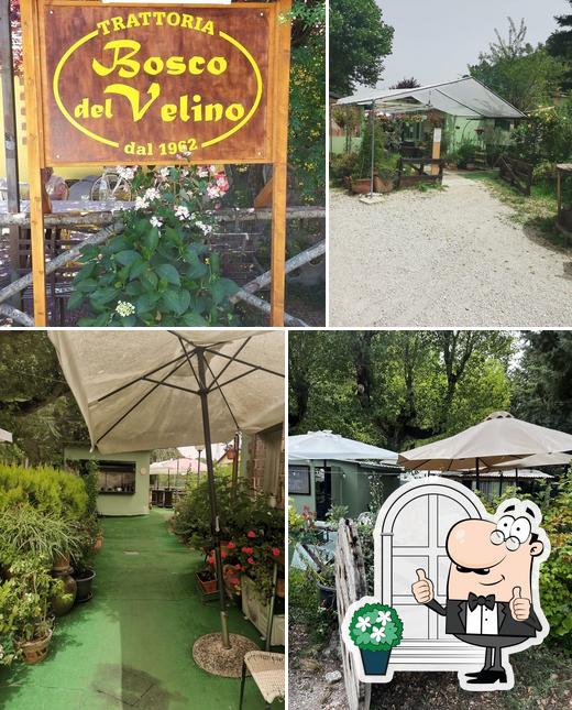 Bosco Del Velino