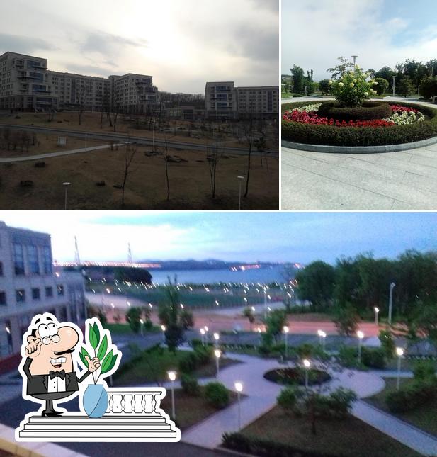 Кафе Кампуса ДВФУ