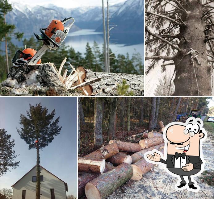 Haas Treeworker