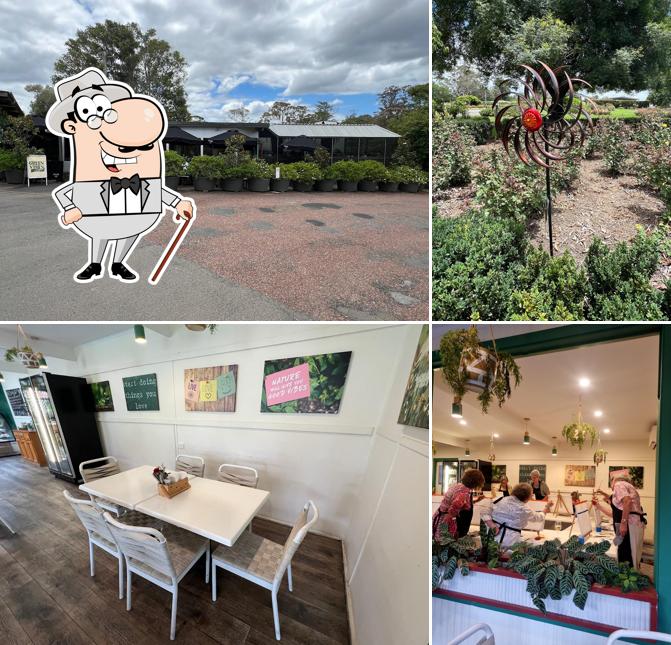 Green Vibes Cafe