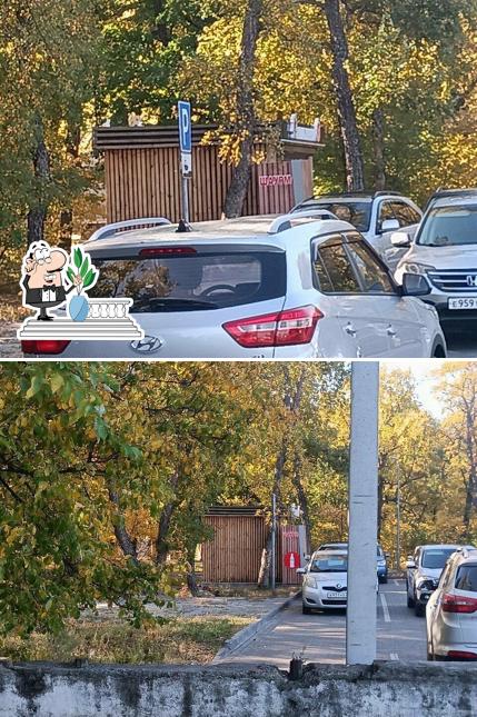 Шаурма парк
