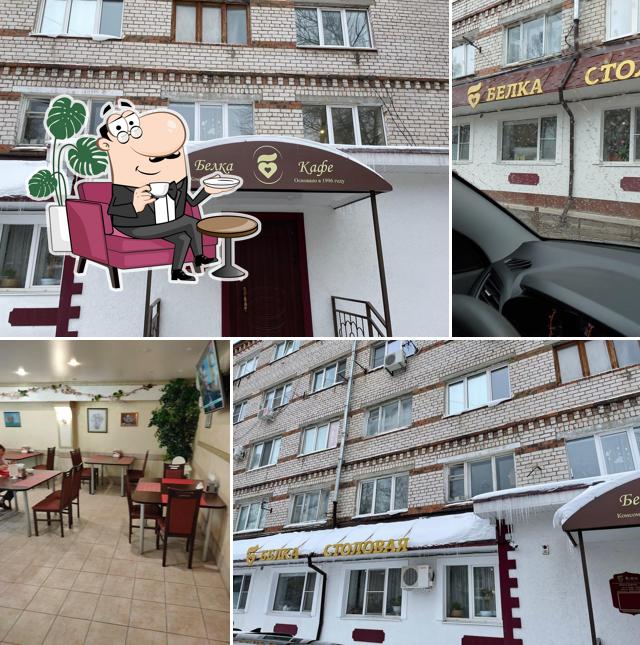 Забронируйте столик в "Белке"