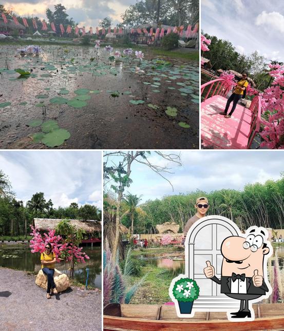 พะวงบัวคาเฟ่ Phawong bua cafe