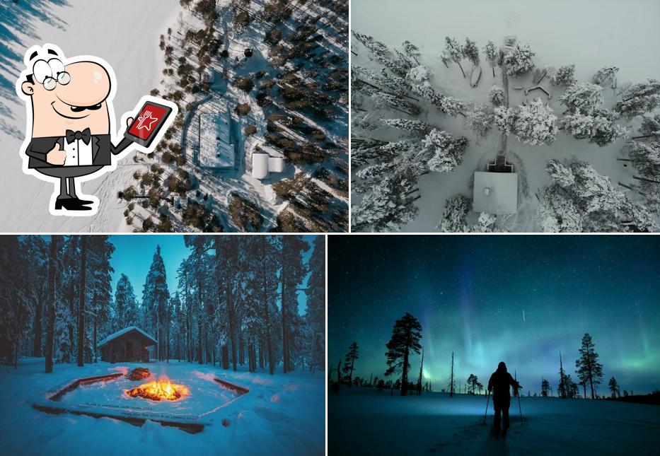 Karhunpesä, Bear's Den - Lapland Safaris Rovaniemi