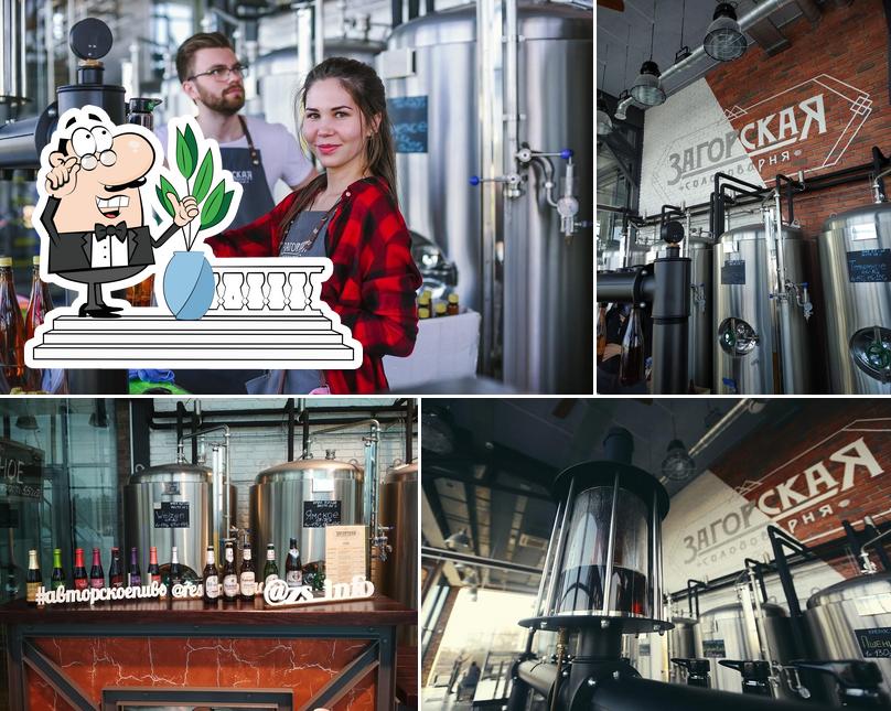 Внешнее оформление "ЗАГОРСКОЙ СОЛОДОВАРНИ"