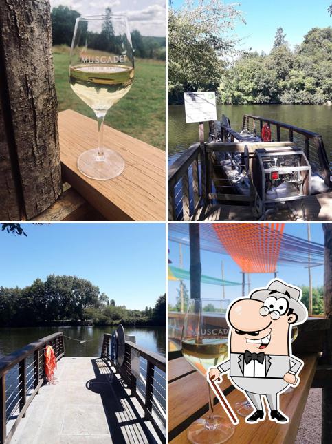 Château de la Frémoire - Voyage en Muscadet / Restaurant & Guinguette