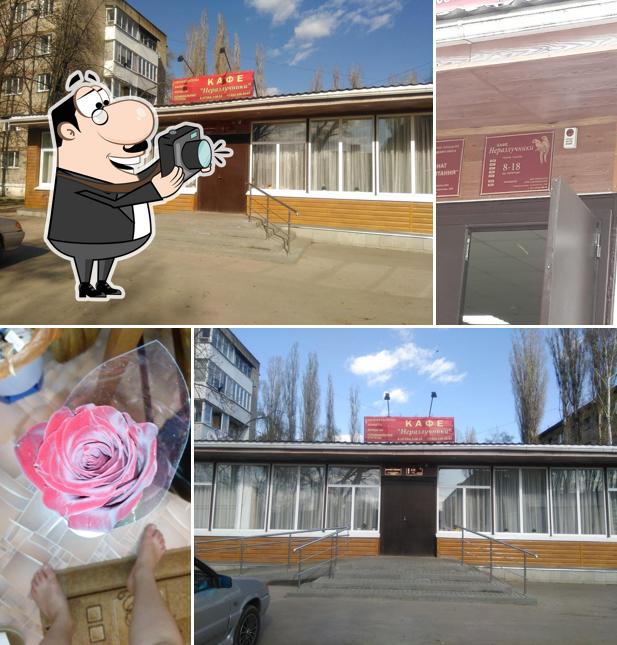 Неразлучники