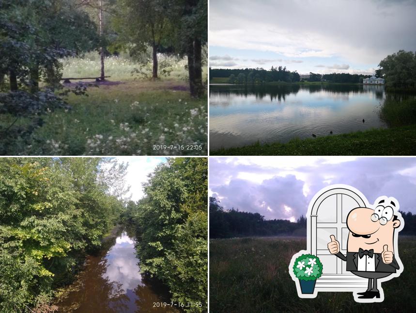 Бистро-Шаверма