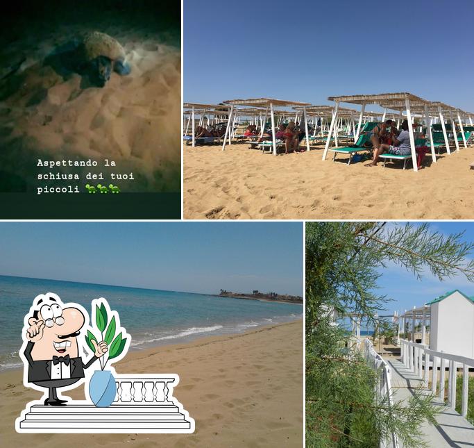 Lido il Solleone