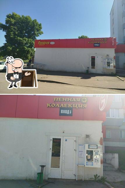Пенная коллекция