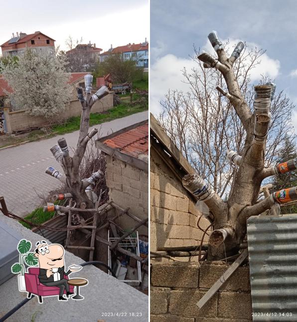 KUZEY PİDE SALONU