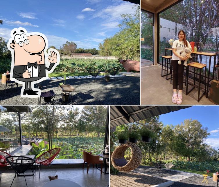 คอกนา cafe&farm - Kokna cafe & farm